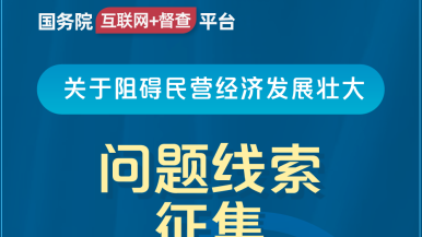 大骚逼TV国务院“互联网+督查”平台公开征集阻碍民营经济发展壮大问题线索